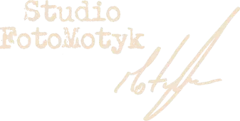 Logo Foto Motyk